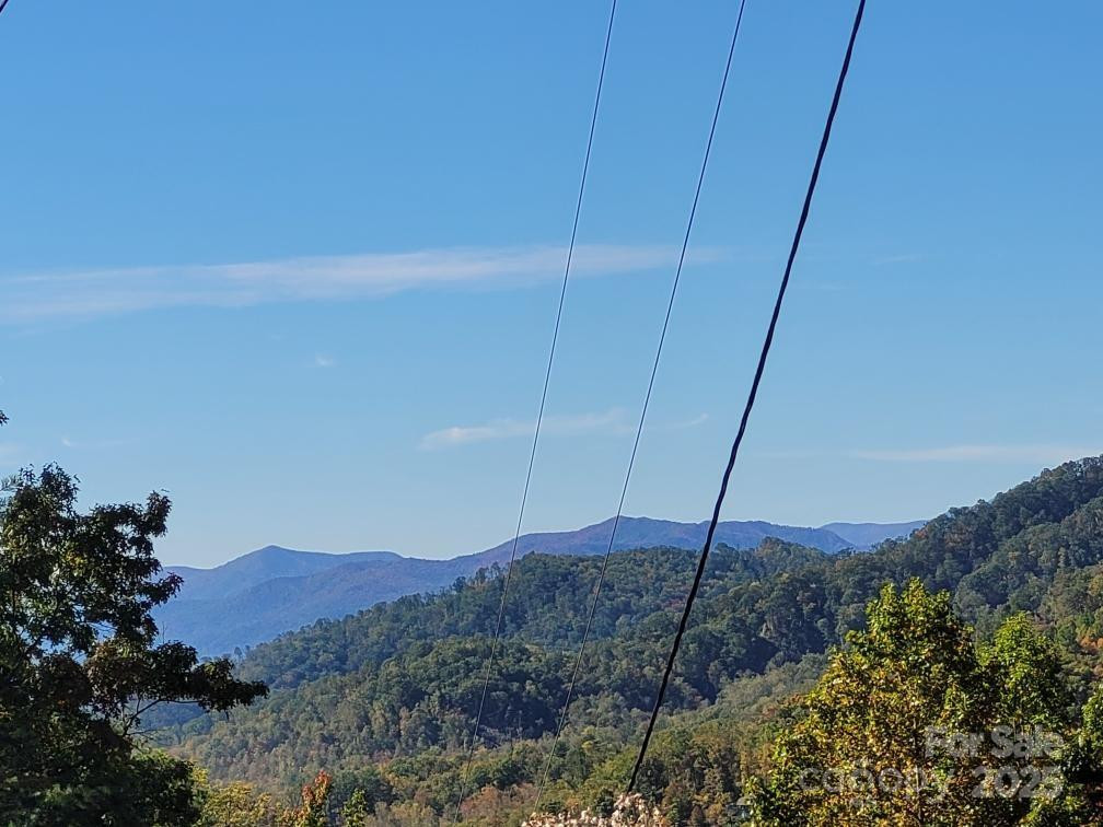 Tract 3 Linville Drive - Photo 2