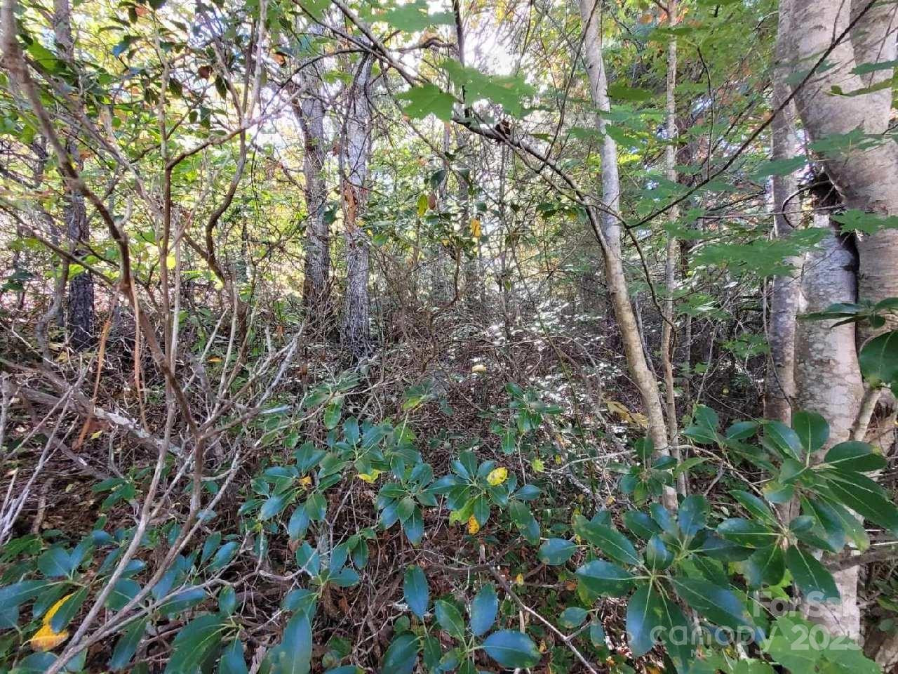 Tract 3 Linville Drive - Photo 11