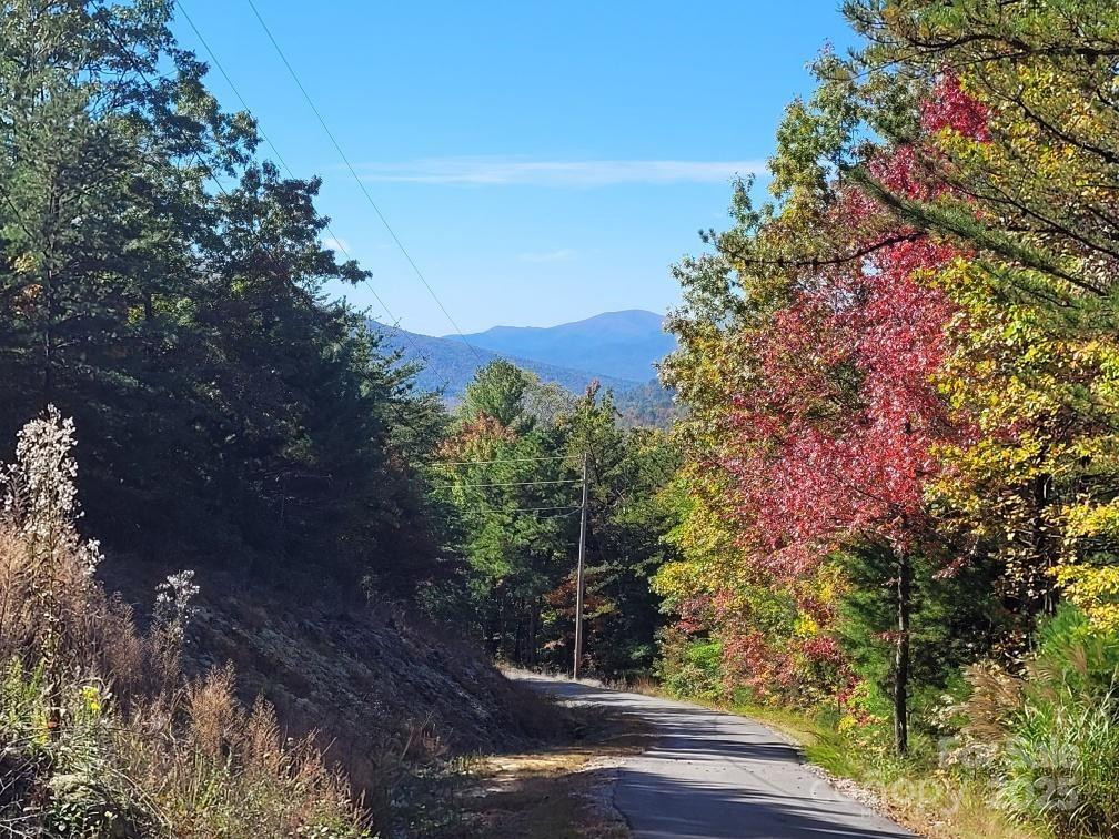 Tract 3 Linville Drive - Photo 12