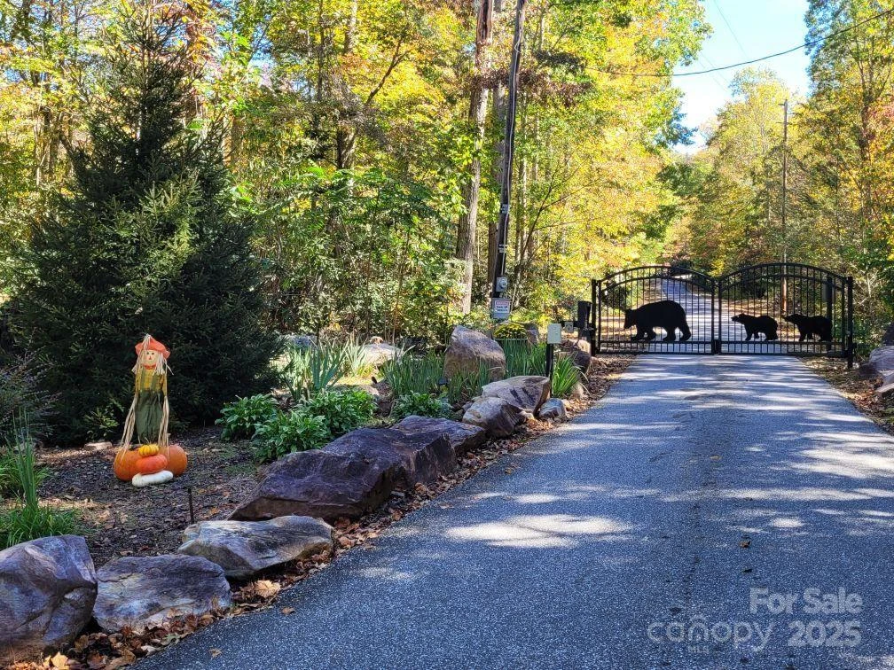Tract 3 Linville Drive - Photo 14