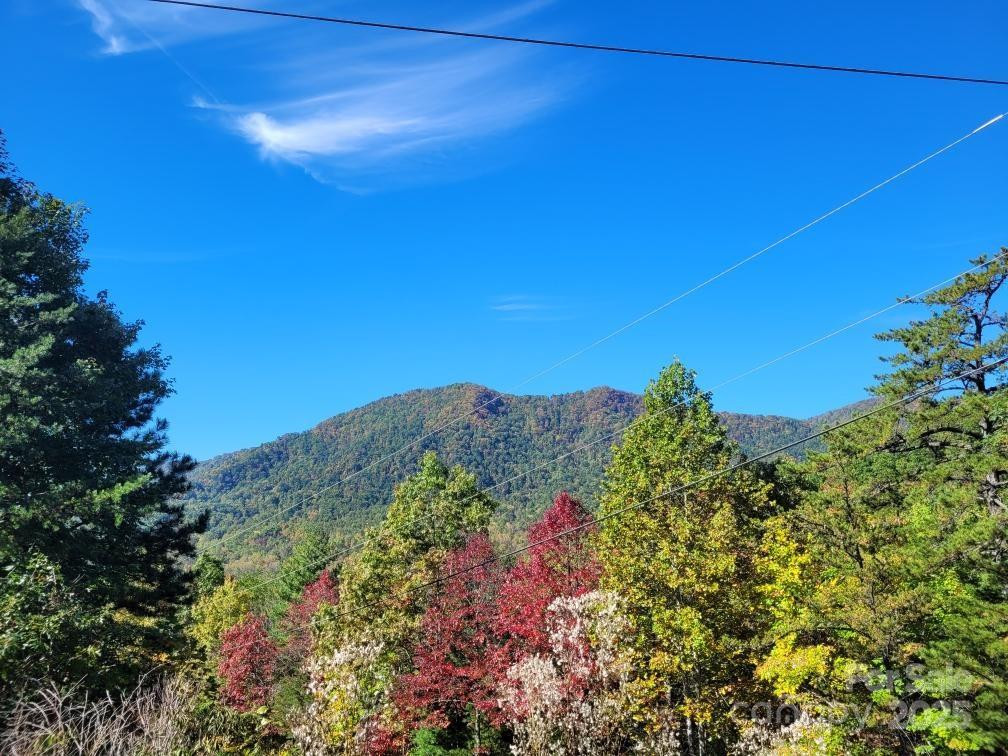 Tract 3 Linville Drive - Photo 17