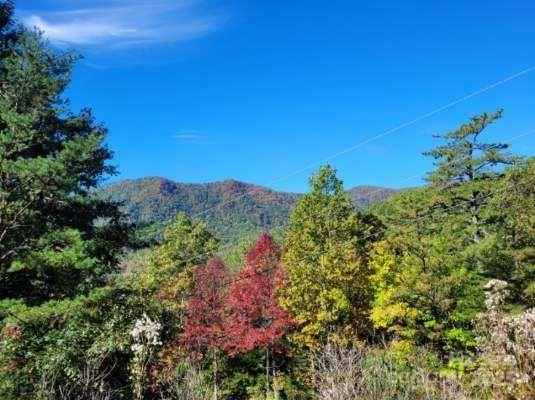 Tract 3 Linville Drive - Photo 18