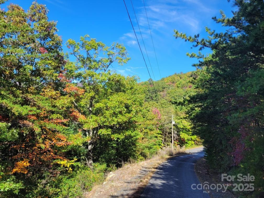 Tract 3 Linville Drive - Photo 19