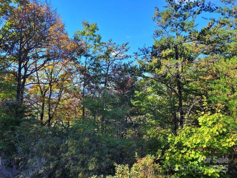 Tract 3 Linville Drive - Photo 20