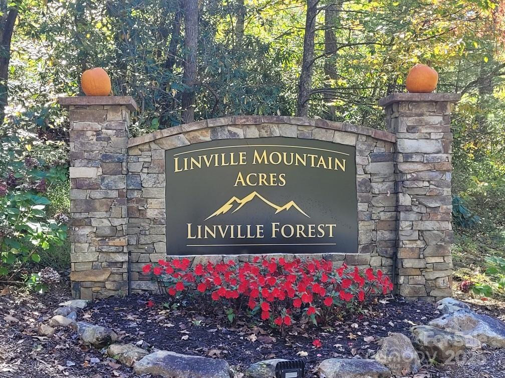 Tract 3 Linville Drive - Photo 3