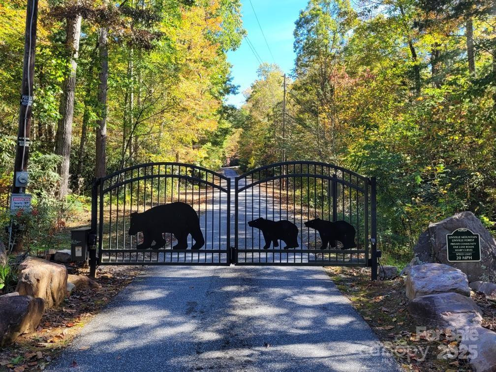 Tract 3 Linville Drive - Photo 4