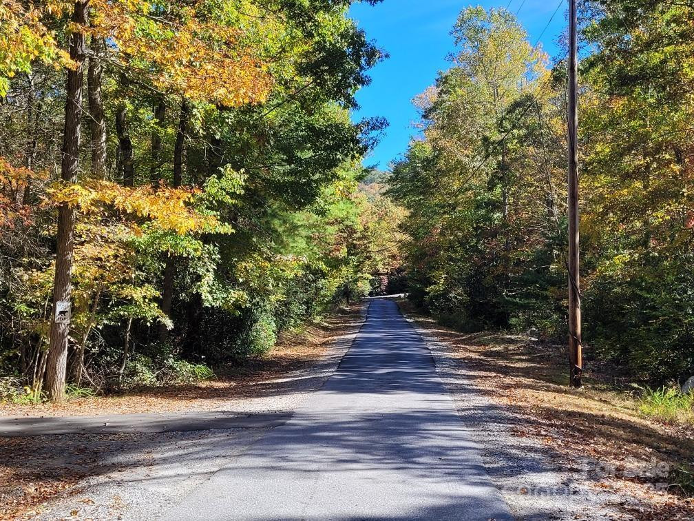 Tract 3 Linville Drive - Photo 5