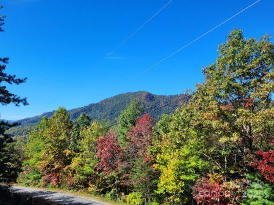 Tract 3 Linville Drive - Photo 6