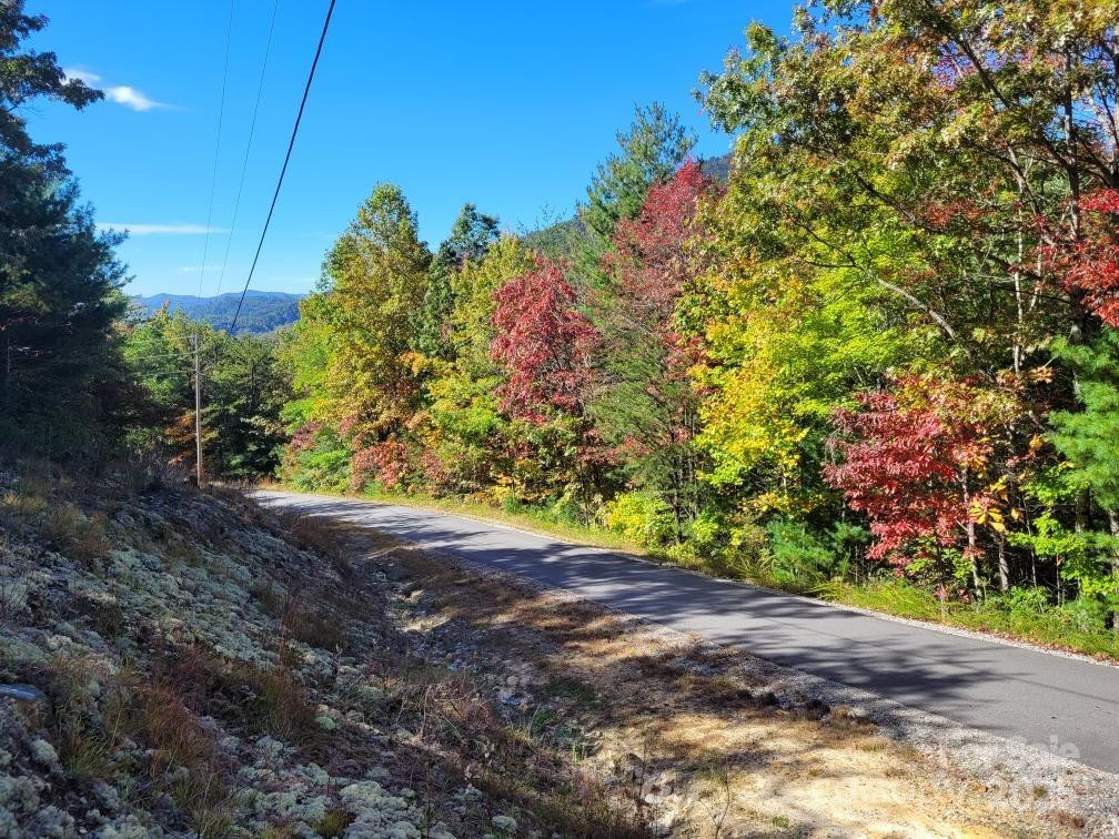 Tract 3 Linville Drive - Photo 7