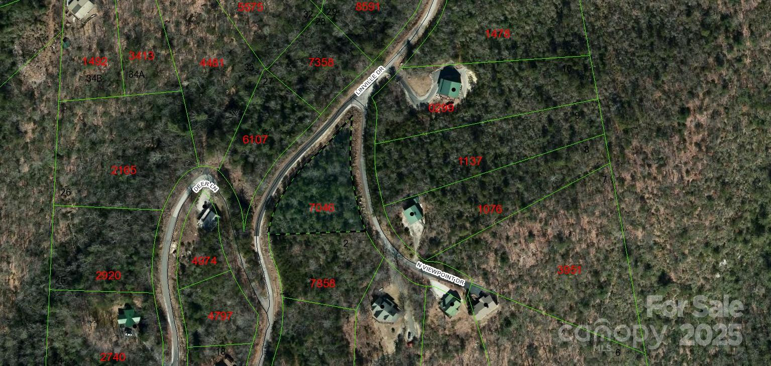 Tract 3 Linville Drive - Photo 10