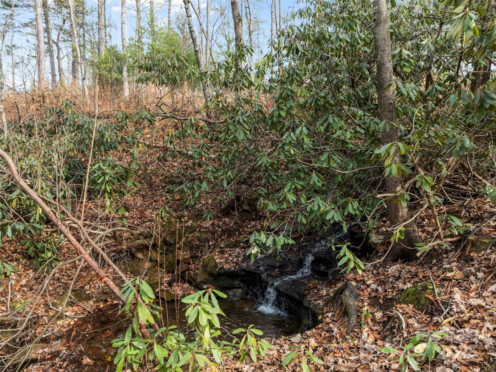 423 Moraine Court #626 - Photo 17