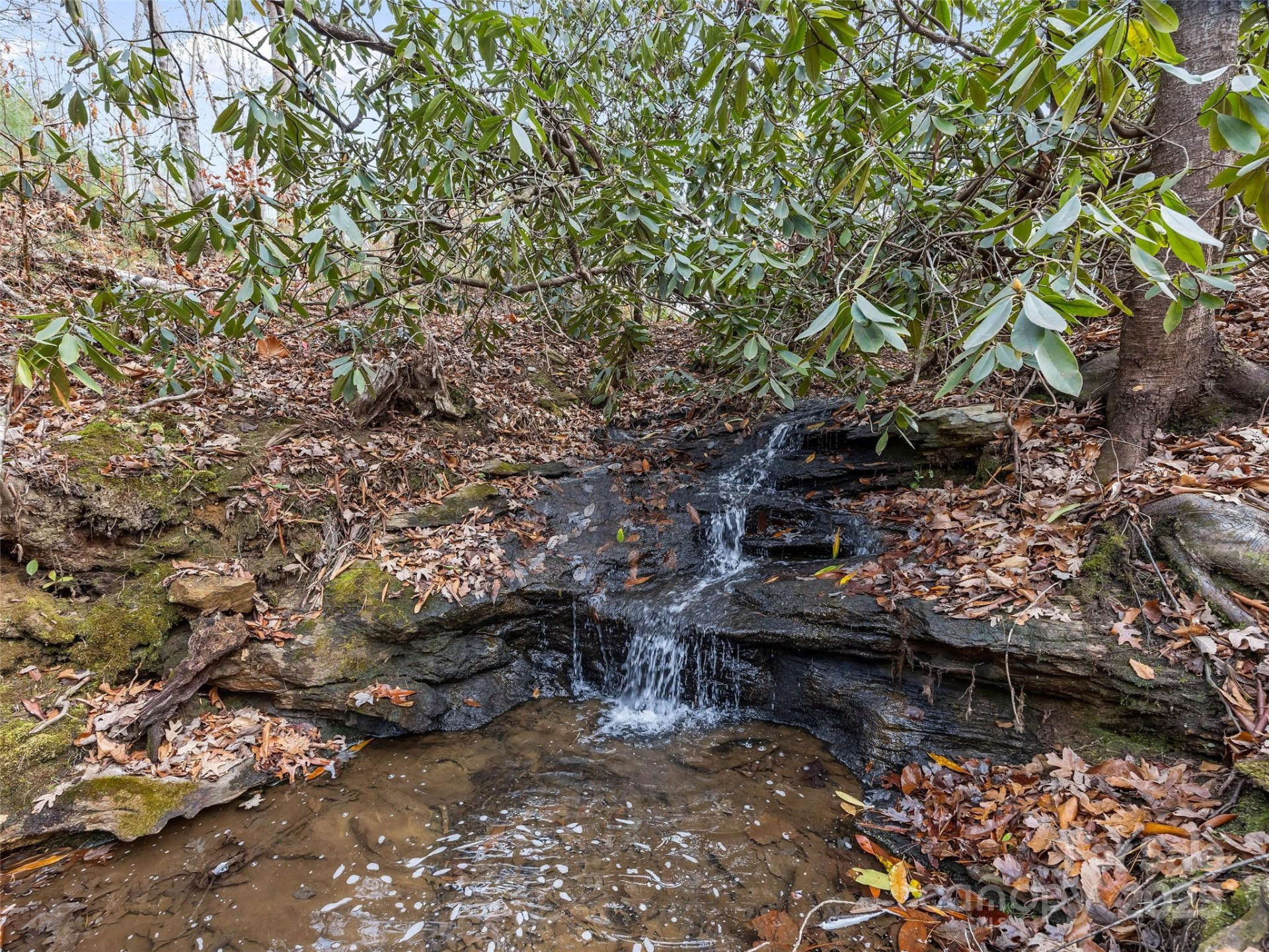 423 Moraine Court #626 - Photo 18