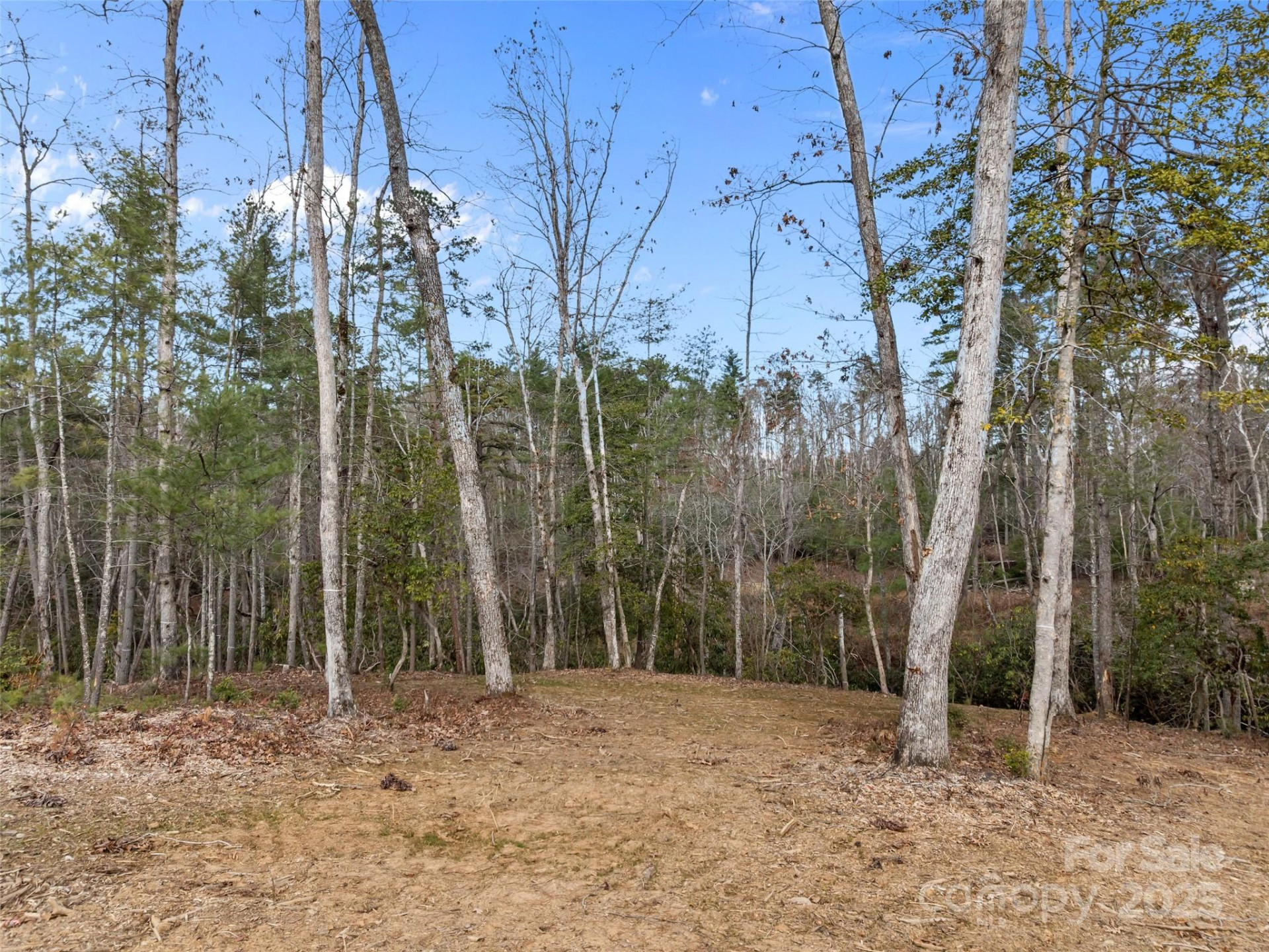 423 Moraine Court #626 - Photo 5