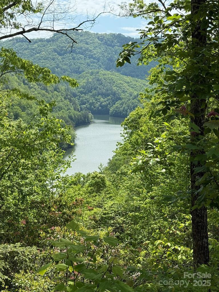 0 Fontana Lake Way #34 - Photo 2