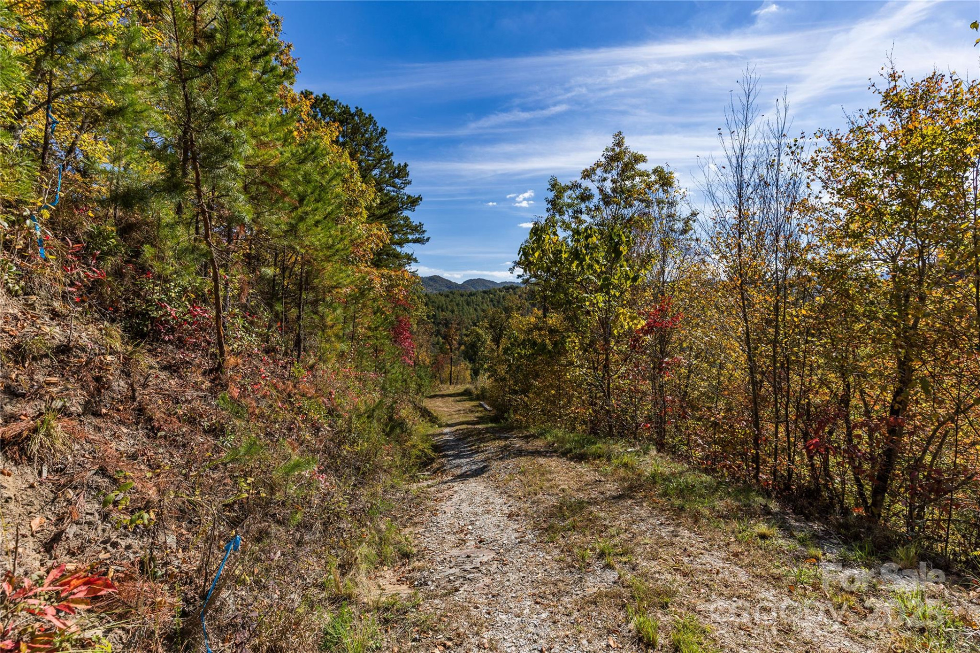 0 Fontana Lake Way #34 - Photo 4