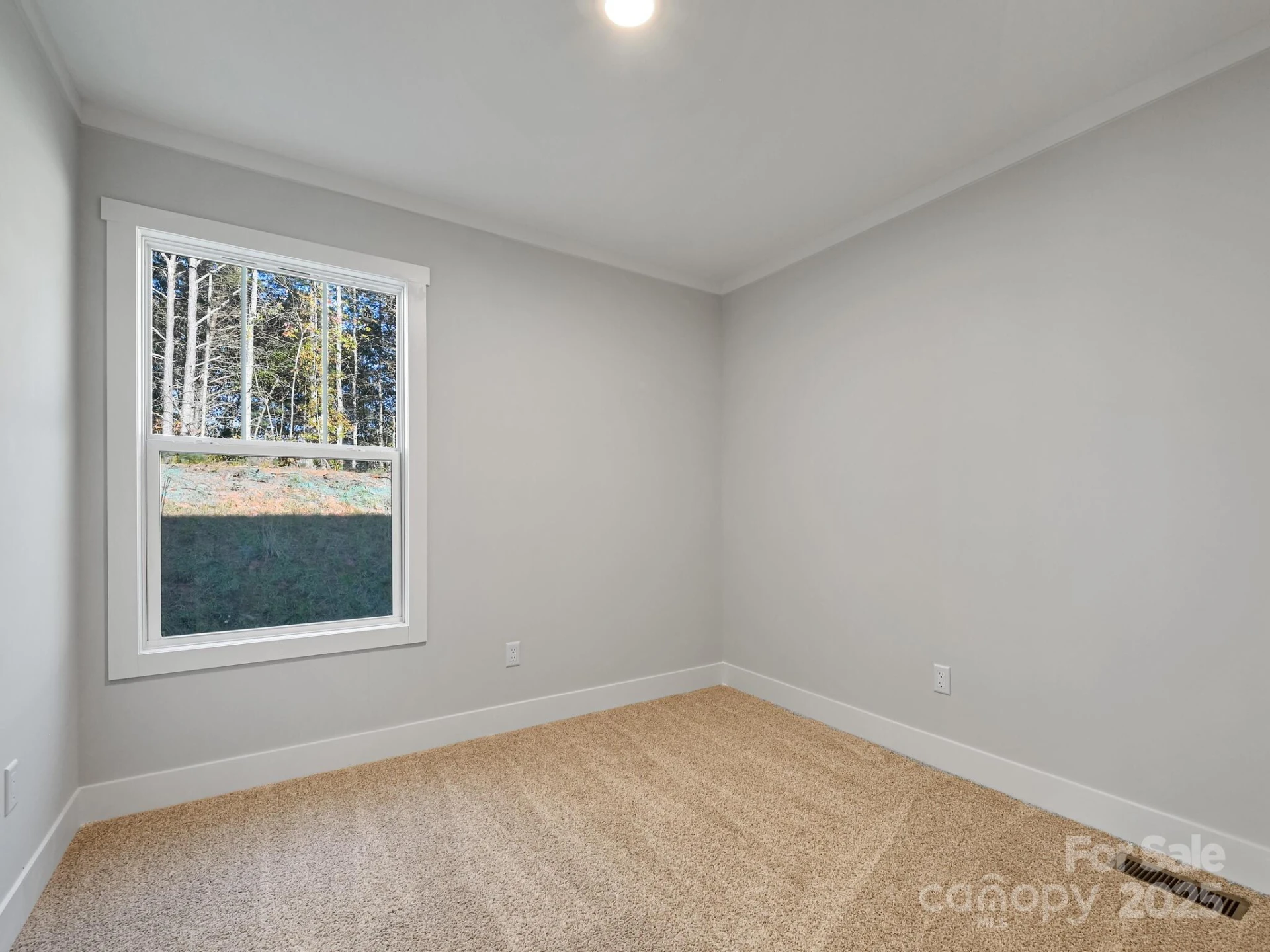 262 Appalachian Way - Photo 20