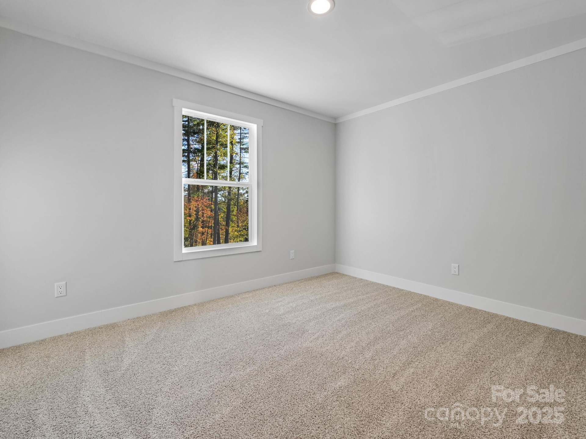 262 Appalachian Way - Photo 22