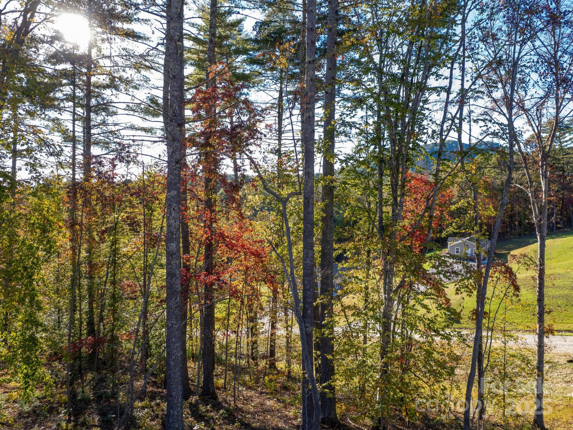 262 Appalachian Way - Photo 32