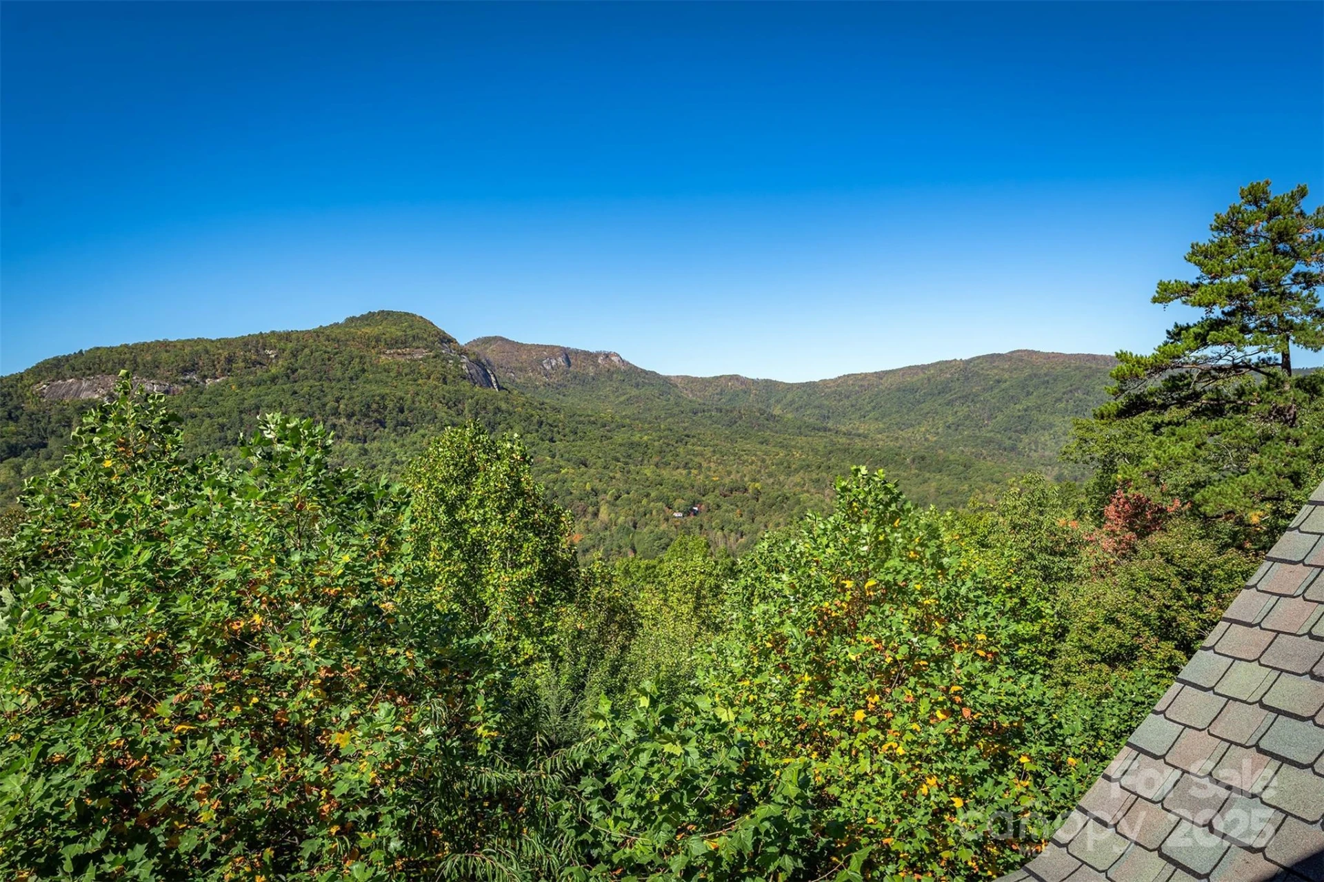345 Hawks Nest Trail - Photo 35