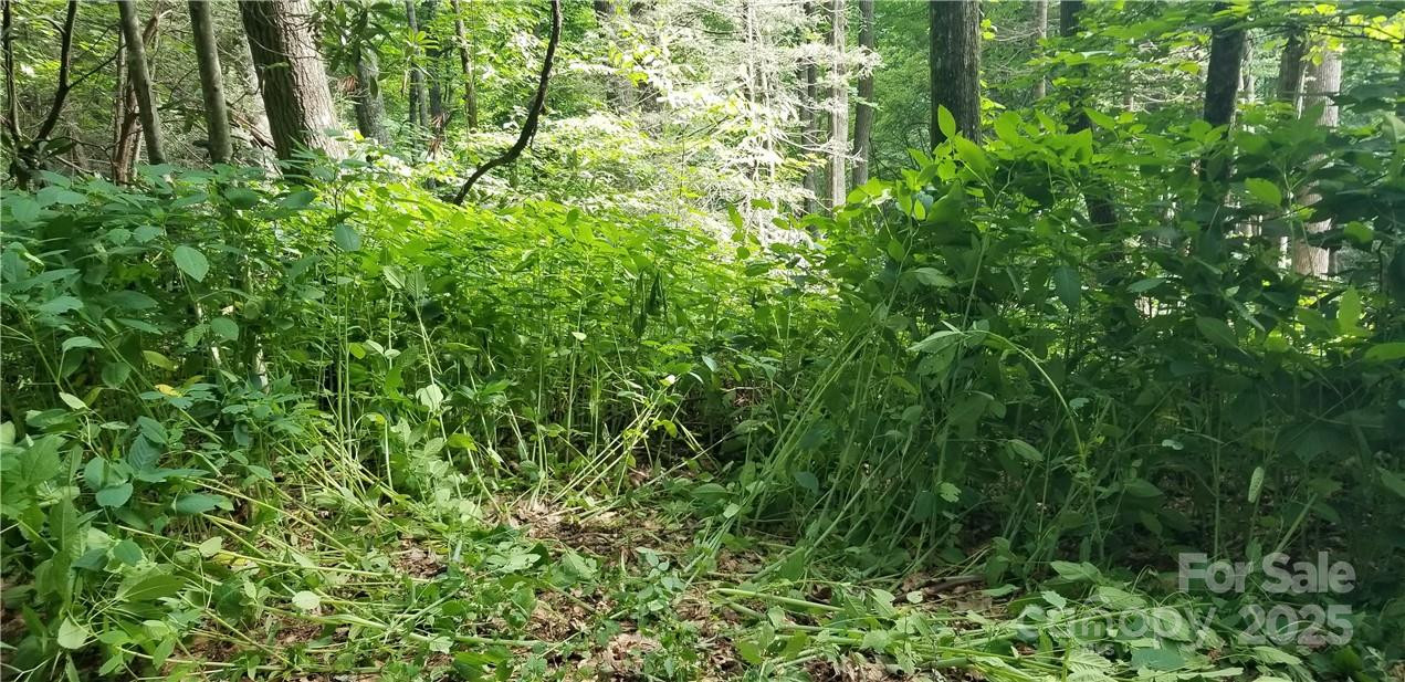 Lot C31 Shady Lane - Photo 11