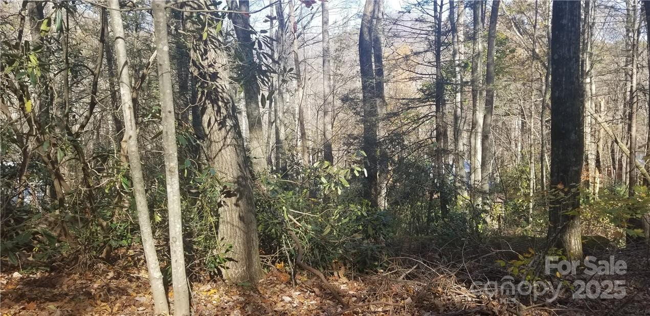 Lot C31 Shady Lane - Photo 14