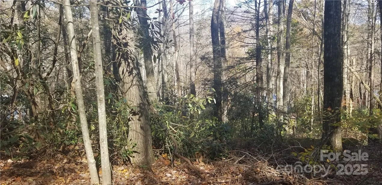 Lot C31 Shady Lane - Photo 14