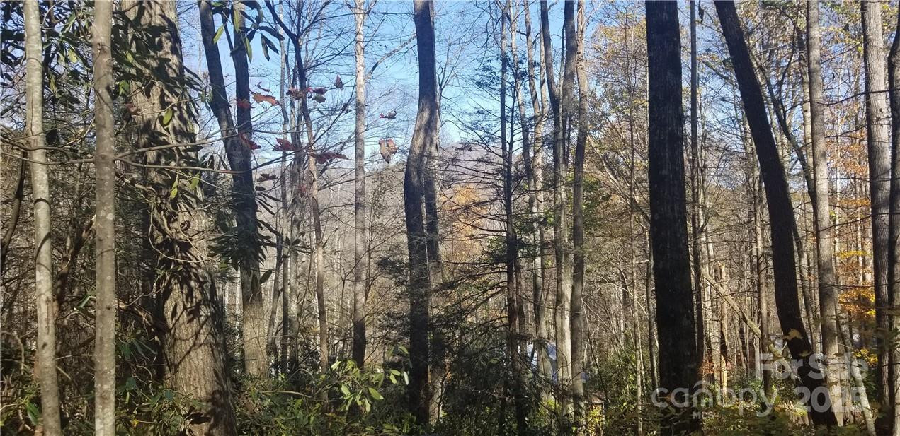 Lot C31 Shady Lane - Photo 15