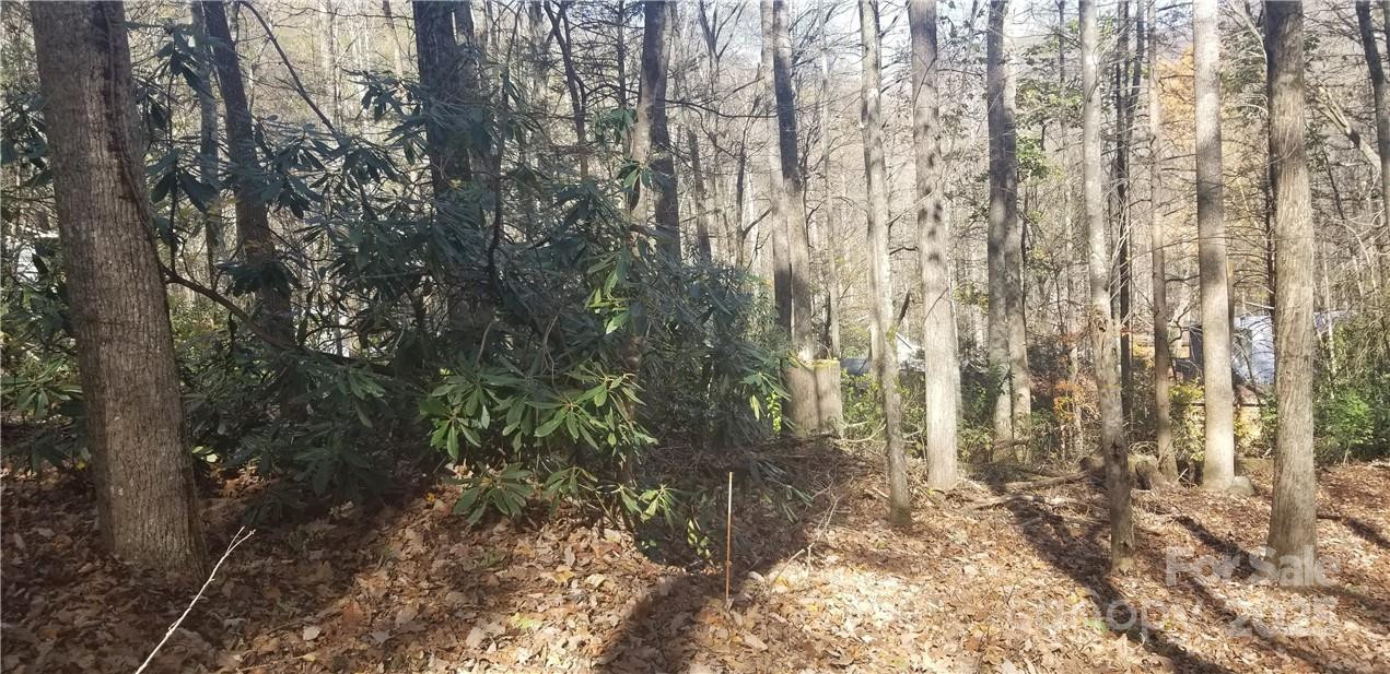 Lot C31 Shady Lane - Photo 16