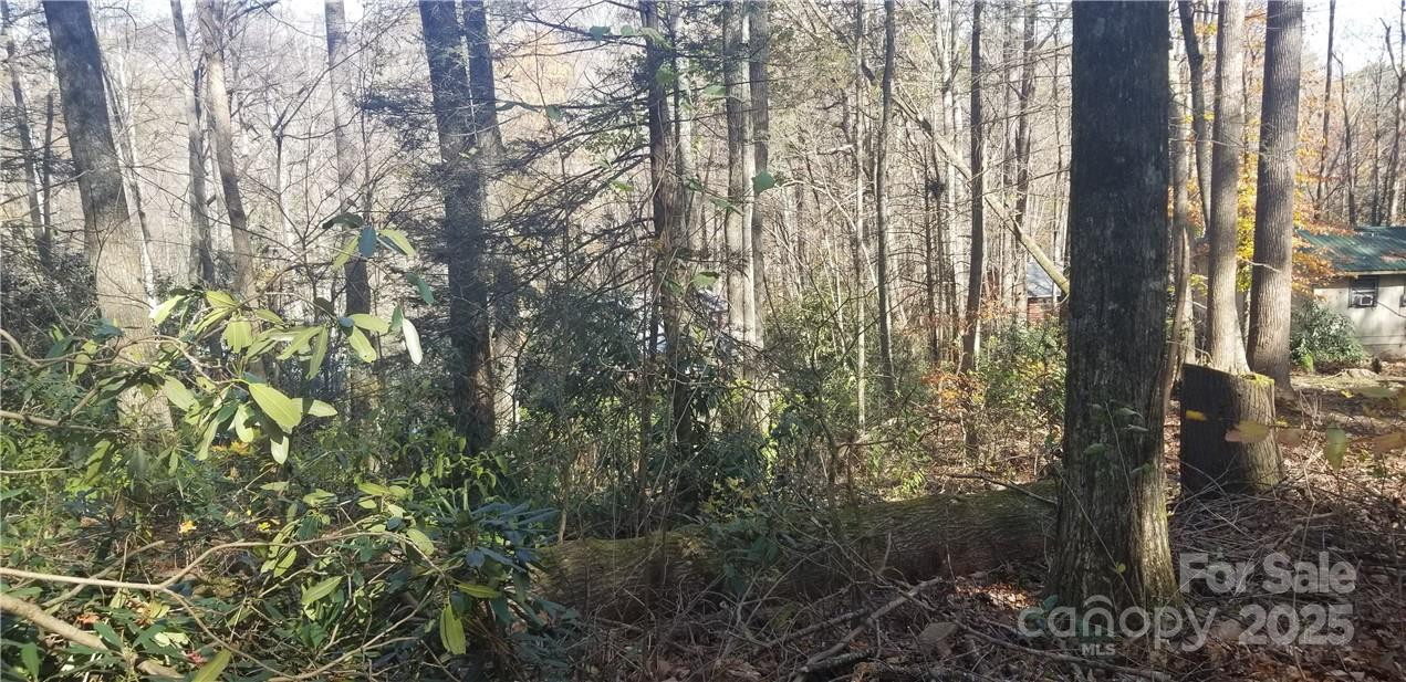 Lot C31 Shady Lane - Photo 17