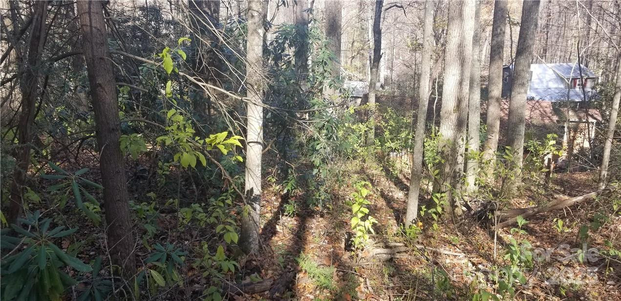 Lot C31 Shady Lane - Photo 20