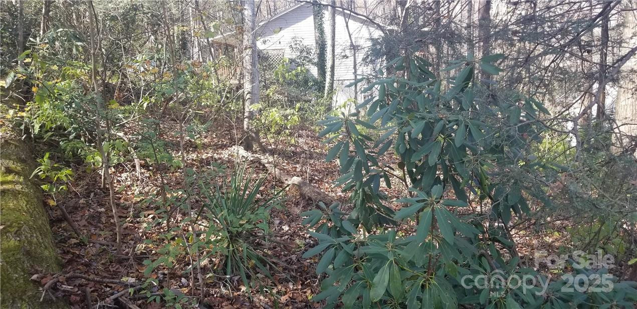 Lot C31 Shady Lane - Photo 21