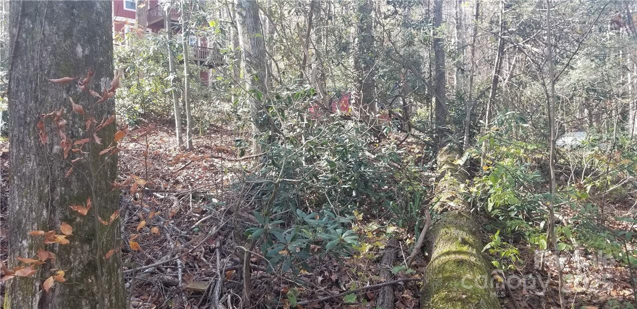 Lot C31 Shady Lane - Photo 22