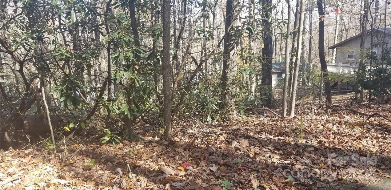 Lot C31 Shady Lane - Photo 23