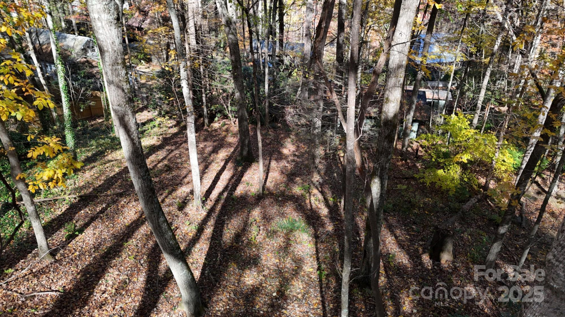 Lot C31 Shady Lane - Photo 4