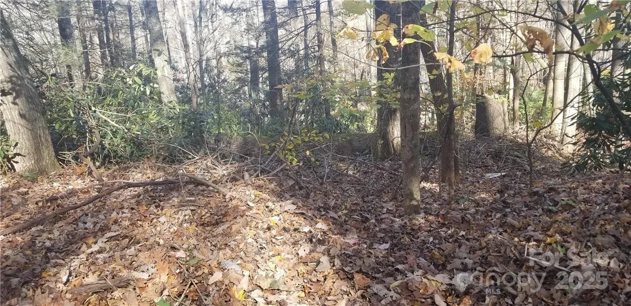 Lot C31 Shady Lane - Photo 6