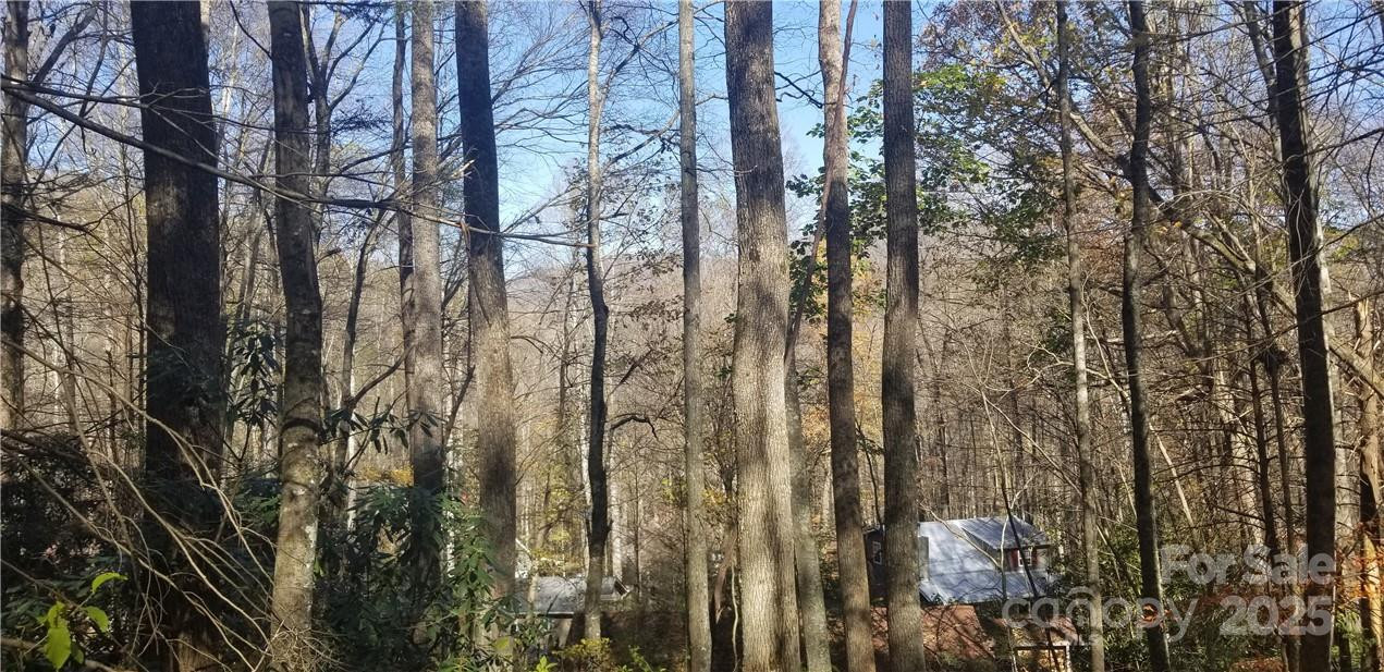 Lot C31 Shady Lane - Photo 7