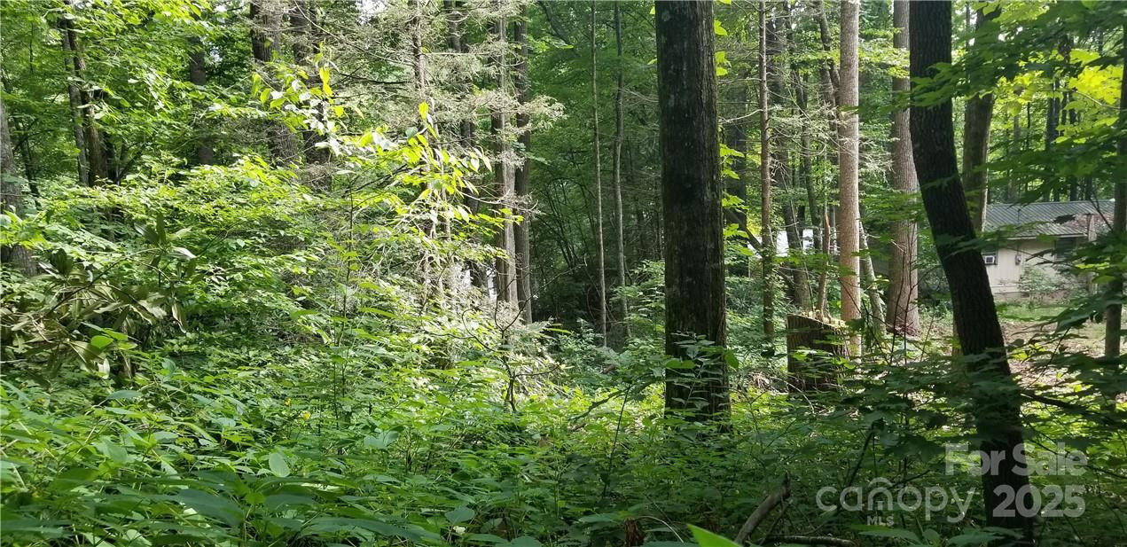 Lot C31 Shady Lane - Photo 9