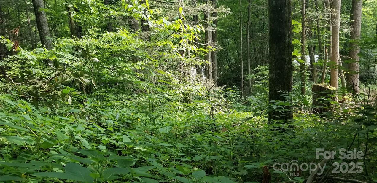 Lot C31 Shady Lane - Photo 10