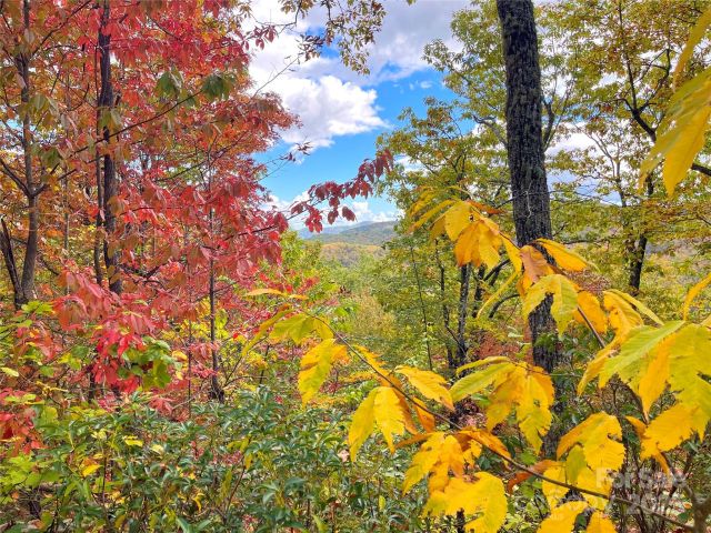 57 Grouse Ridge Drive