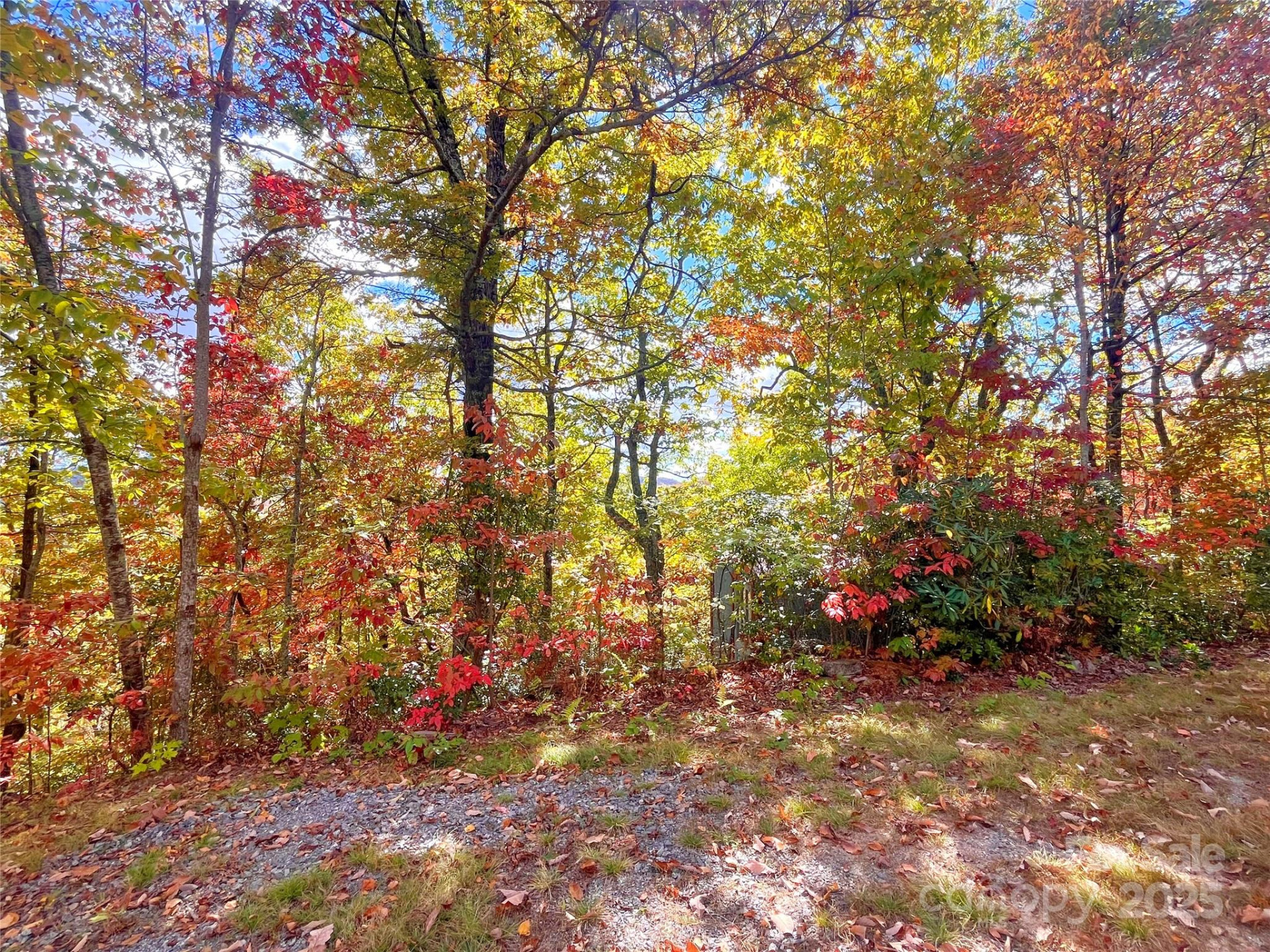 57 Grouse Ridge Drive - Photo 2