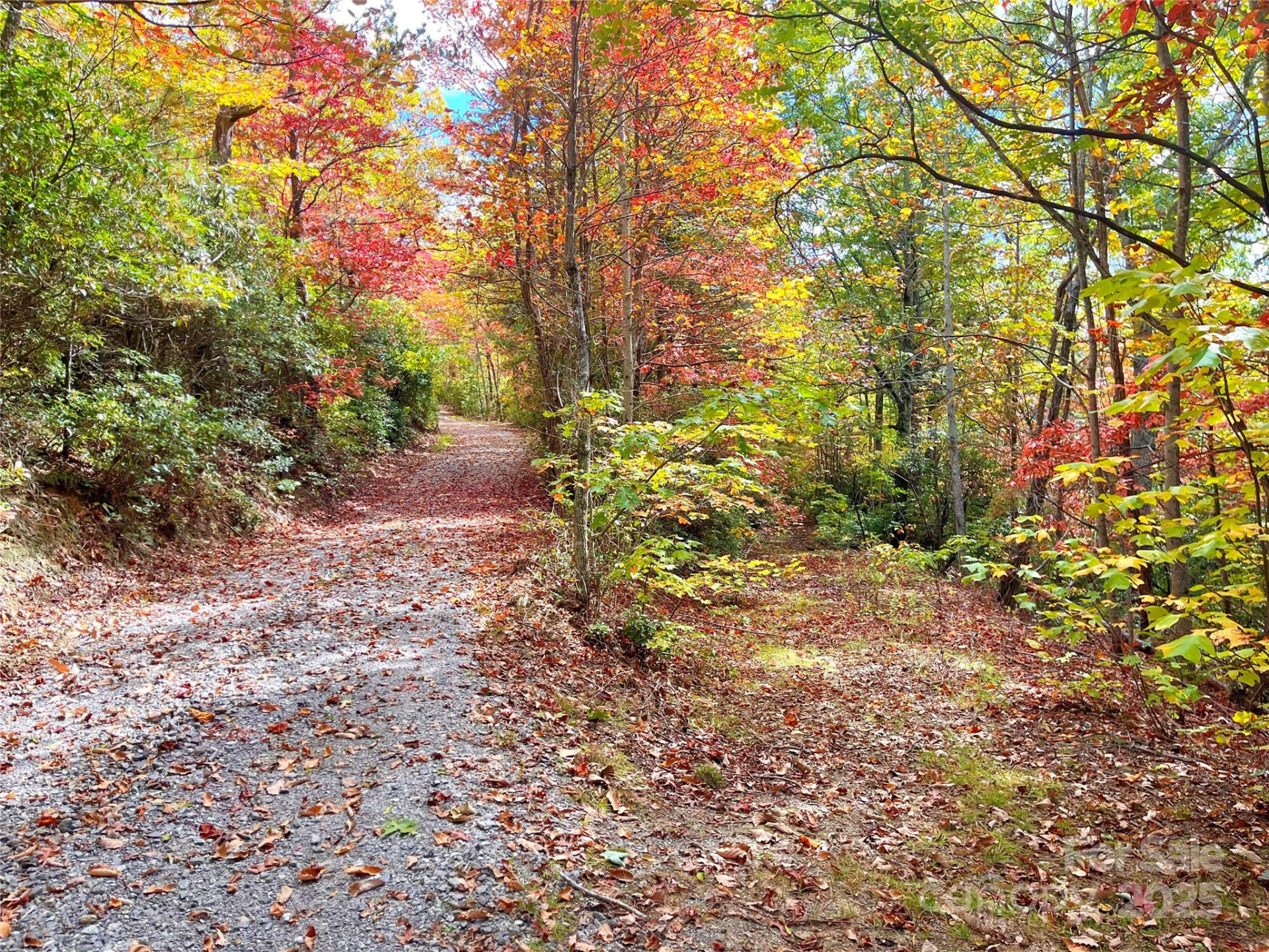 57 Grouse Ridge Drive - Photo 11