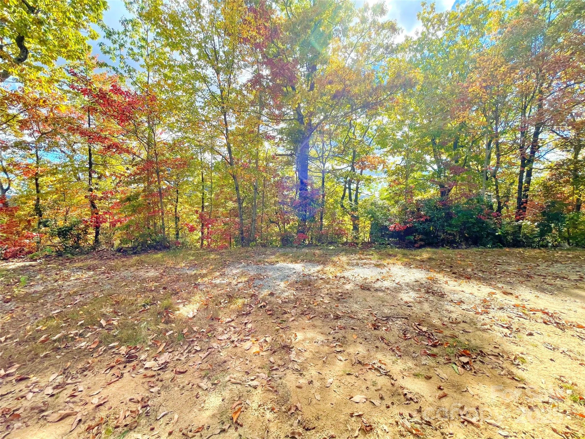 57 Grouse Ridge Drive - Photo 14