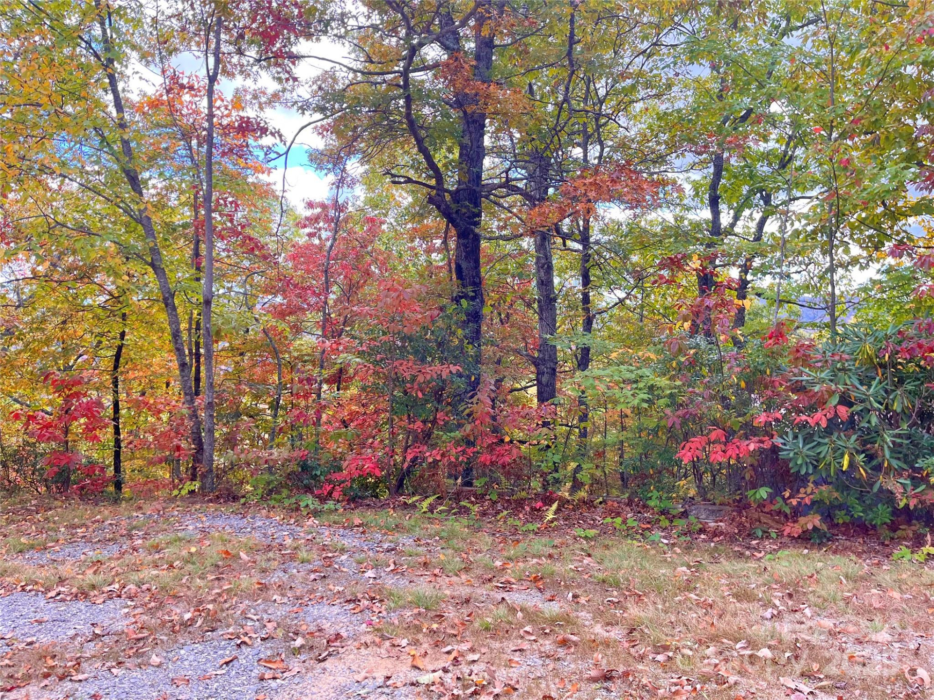 57 Grouse Ridge Drive - Photo 15