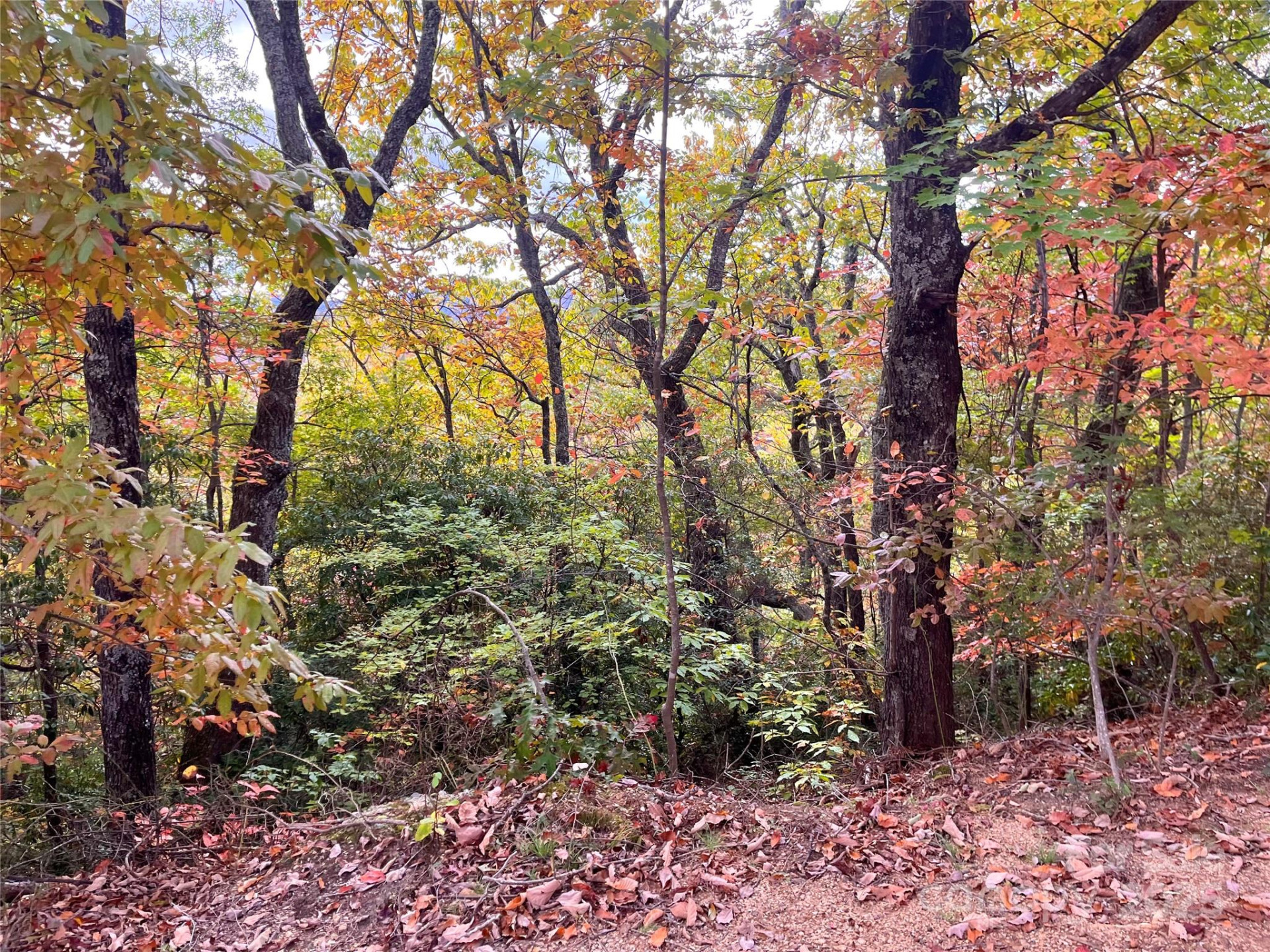 57 Grouse Ridge Drive - Photo 18