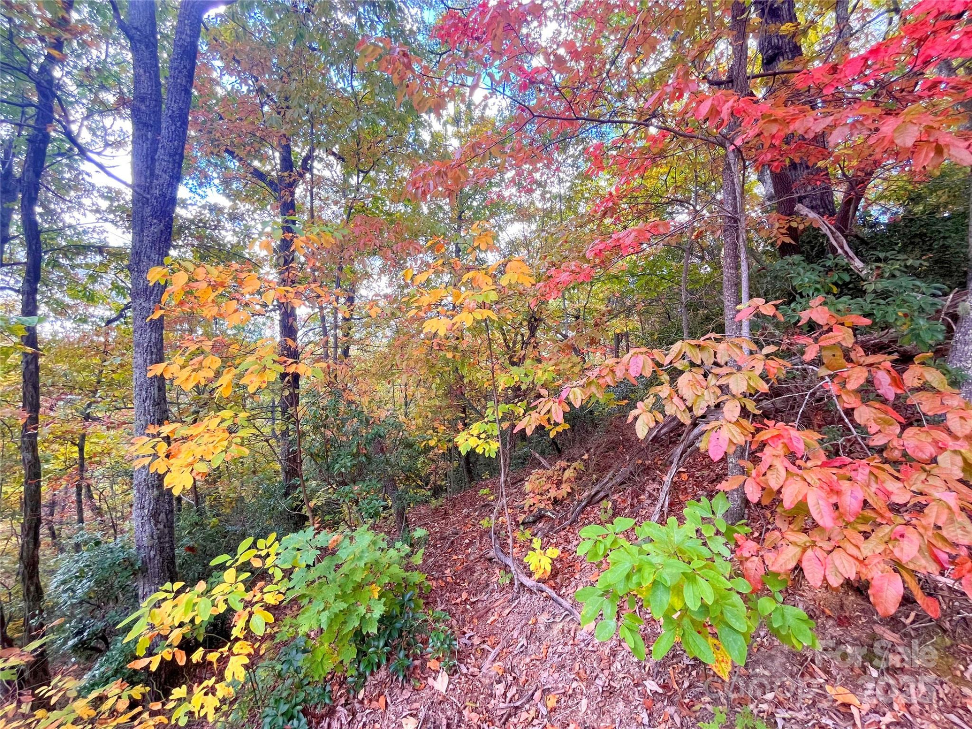 57 Grouse Ridge Drive - Photo 19