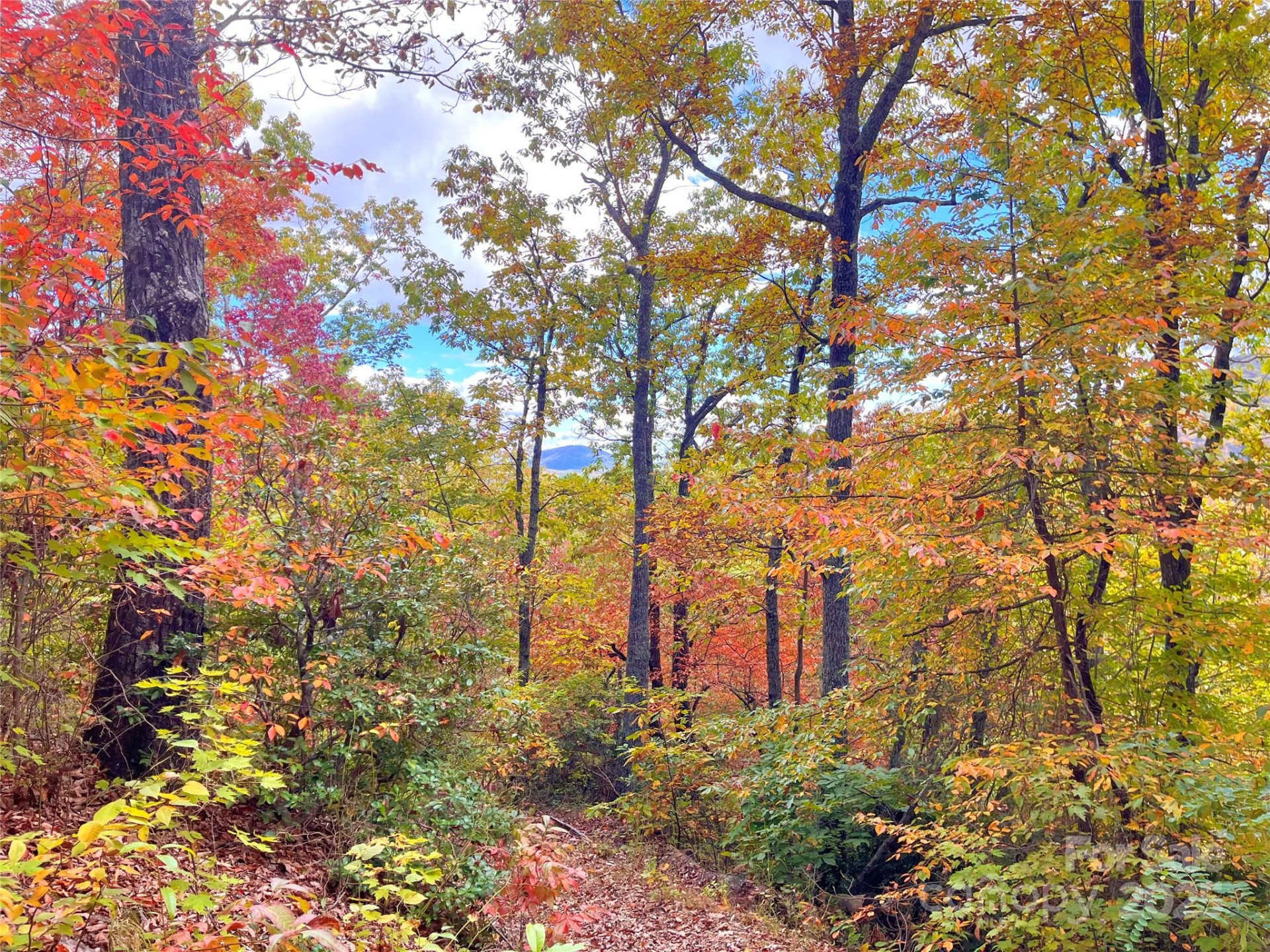 57 Grouse Ridge Drive - Photo 20