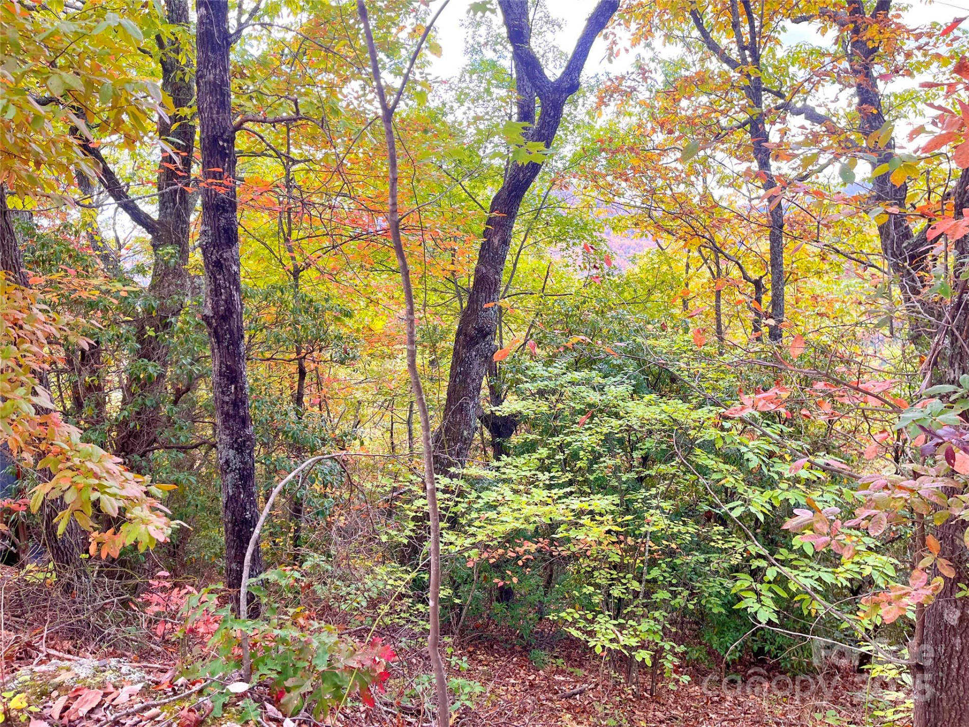 57 Grouse Ridge Drive - Photo 24