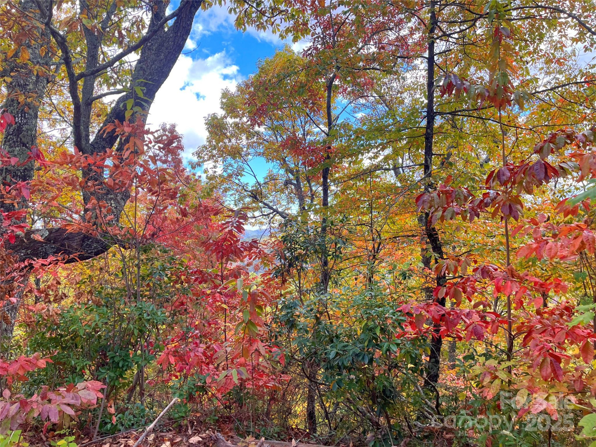 57 Grouse Ridge Drive - Photo 25