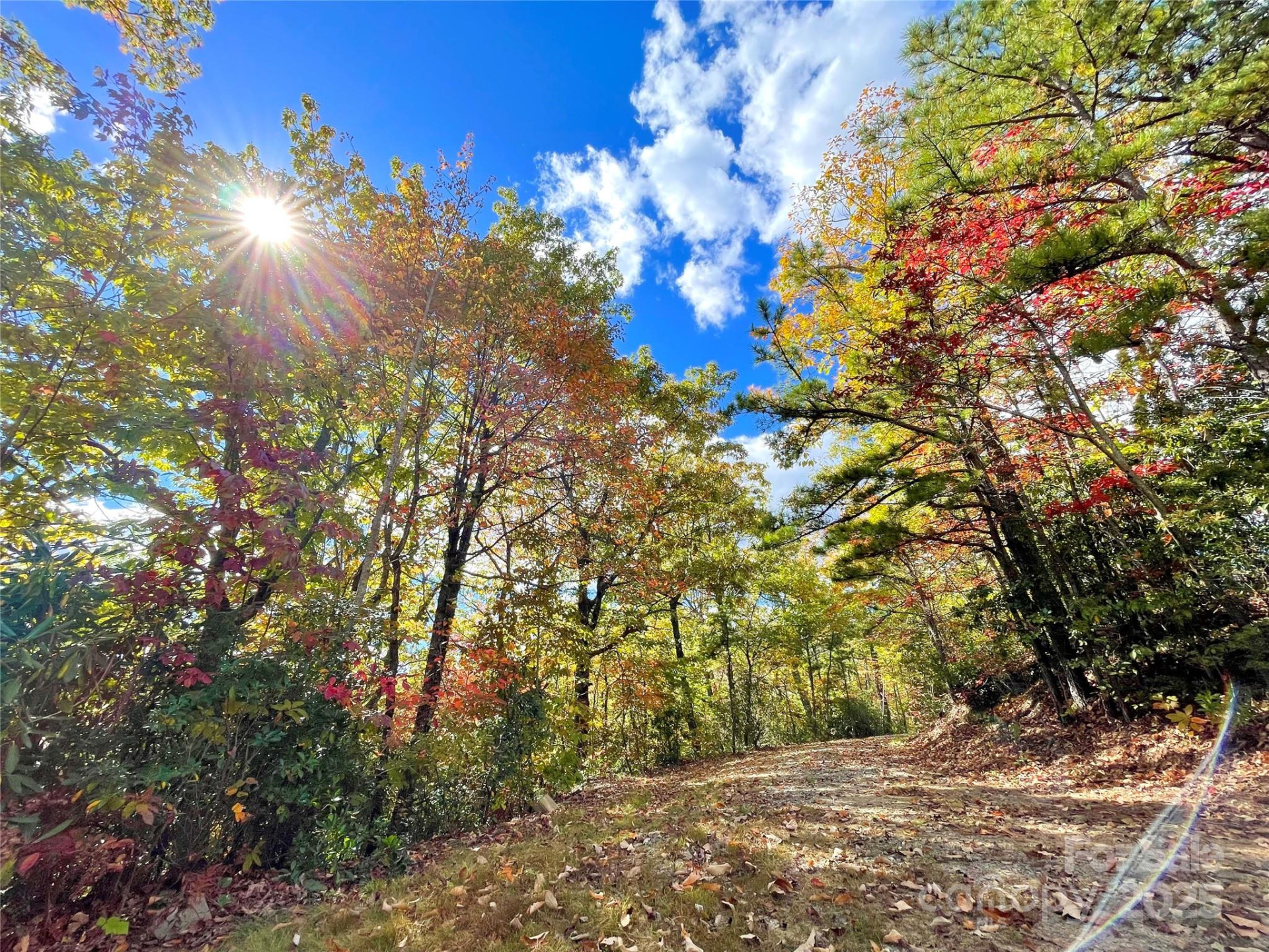 57 Grouse Ridge Drive - Photo 26