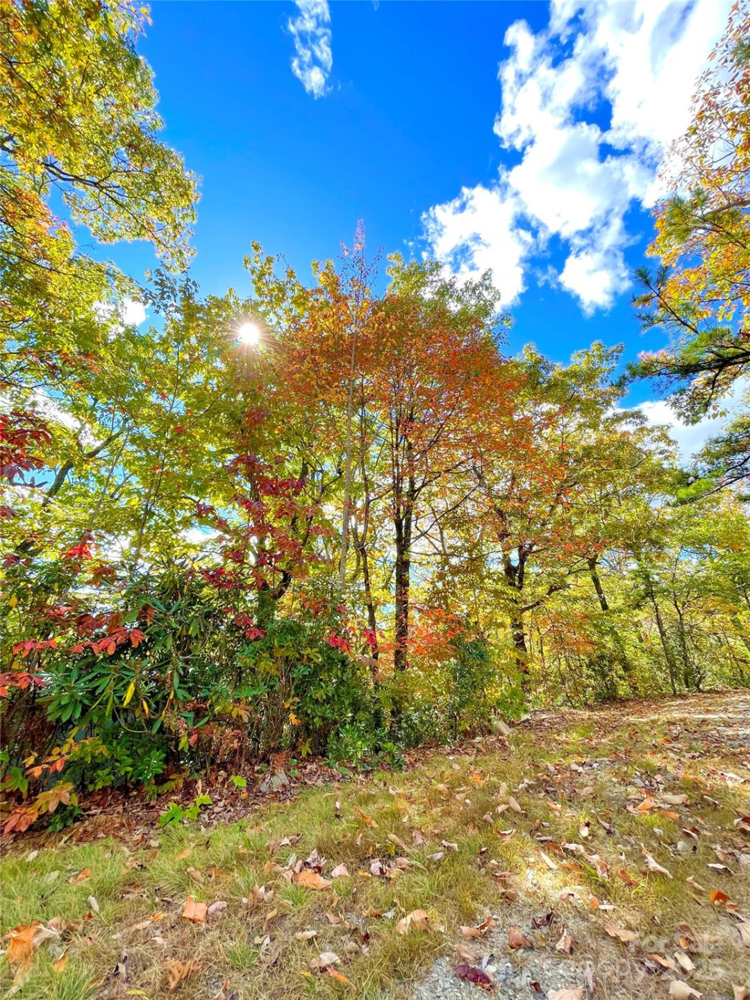 57 Grouse Ridge Drive - Photo 27